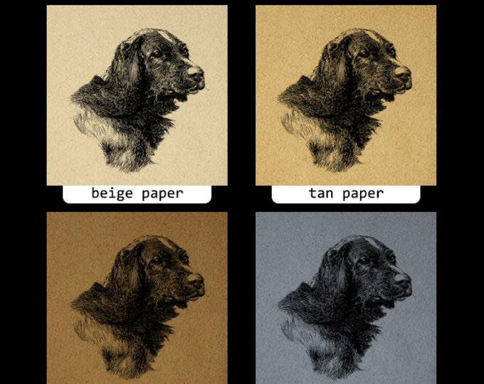 Printable Digital Irish Setter Dog Download Illustration Graphic Image Vintage Clip Art Jpg Png Eps HQ 300dpi No.3176