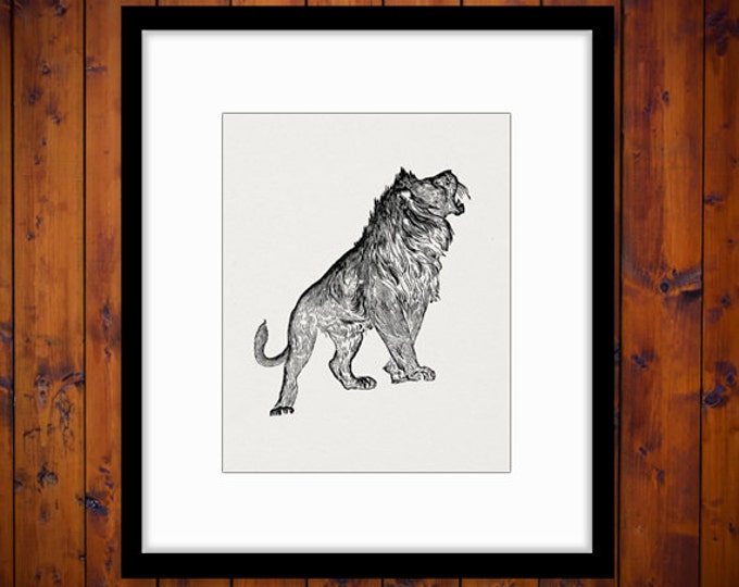 Roaring Lion Printable Digital Image Antique Download Graphic Vintage Clip Art Jpg Png Eps HQ 300dpi No.381