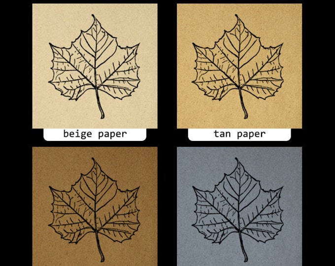 Tree Leaf Digital Image Graphic Fall Download Printable Vintage Clip Art Jpg Png Eps HQ 300dpi No.1070