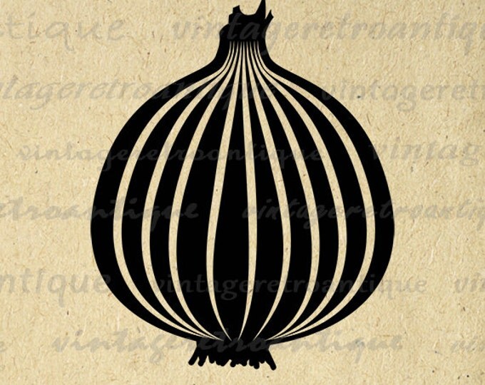 Onion Digital Graphic Download Food Vegetable Printable Onion Image Vintage Clip Art Jpg Png Eps HQ 300dpi No.4362