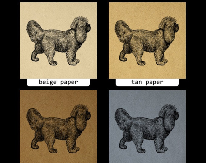 Digital Graphic Small Dog Printable Animal Download Image Antique Clip Art Jpg Png Eps HQ 300dpi No.452