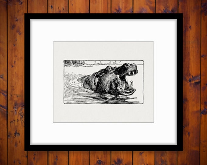 Digital Image Antique Hippo Printable Hippopotamus Graphic Download Vintage Clip Art Jpg Png Eps HQ 300dpi No.3026