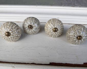 SEA URCHIN SHELL Decorative Dresser Drawer Pull Knob - Beach Nautical Coastal ~ Creamy Gray ~ Ceramic Home Decor