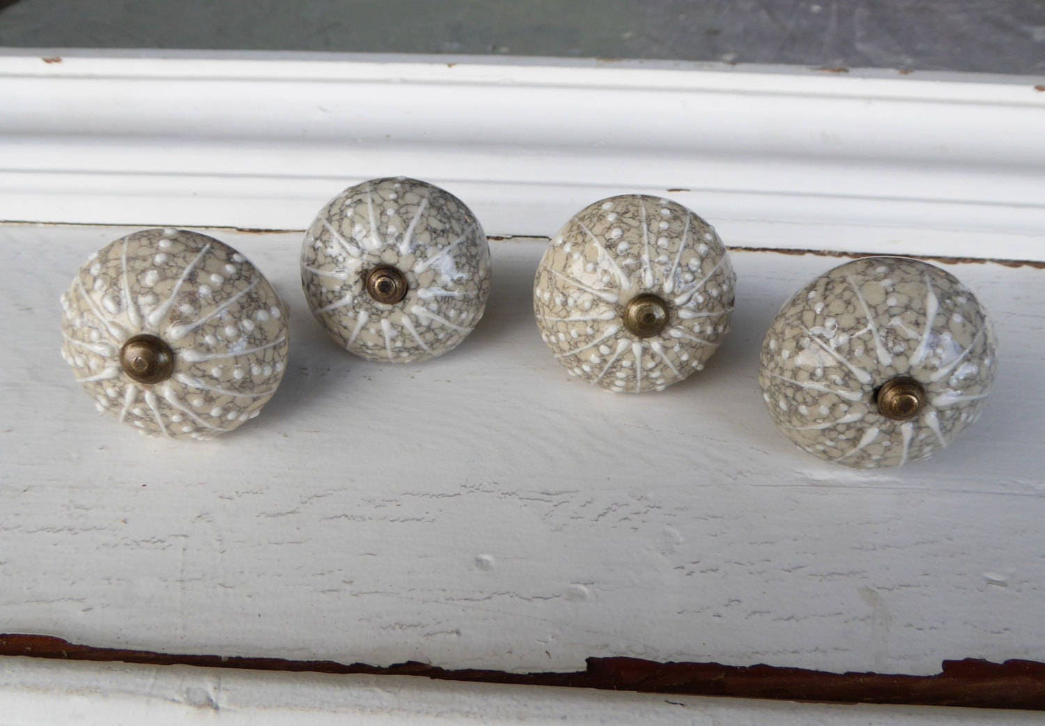 SEA URCHIN SHELL Decorative Dresser Drawer Pull Knob Beach