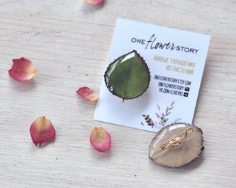 Green leaf brooch, real pressed leaf , real Rose leaf, resin jewelry, spring jewelry
