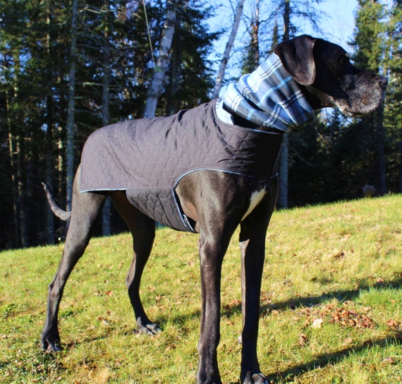 XL Dog Jacket w/ Hoodie / Great Dane Jacket/ by OurLifeInTheWoods
