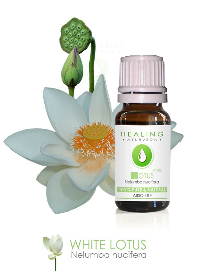 White Lotus Absolute Pure Lotus Natural flower oil