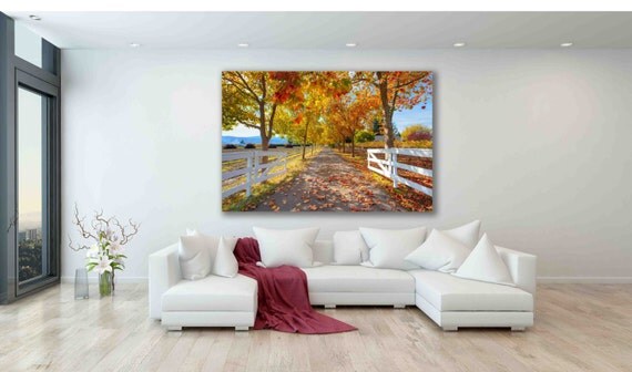 Large Wine Valley Print St Helena Autumn Trees by SusanTaylorPhoto