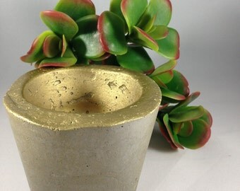 Gold Concrete Planter, Succulent Planter, Cement Planter