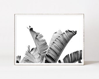 Scandinavian black and white prints, trending black and white prints, modern black and white art, palm leaves, contemporary wall art