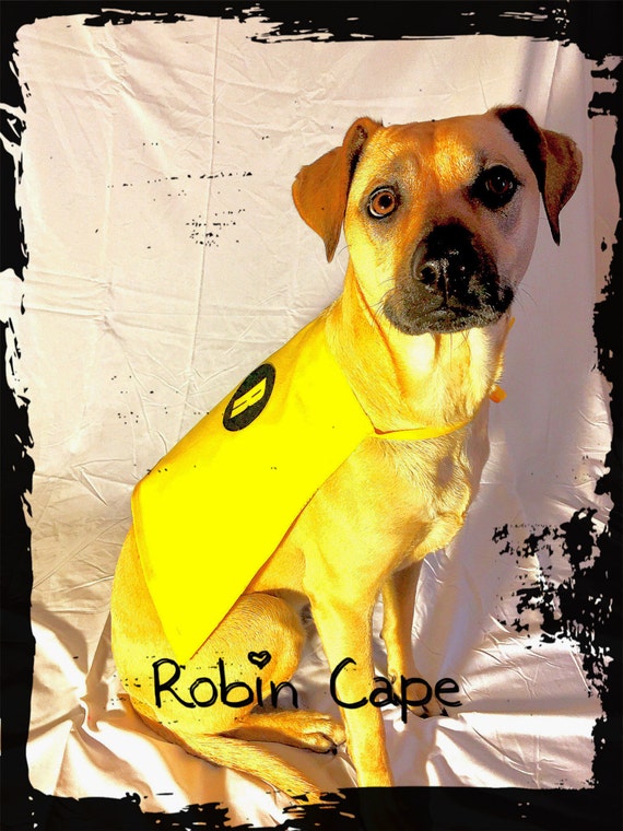 Robin Cape dog costume pet costume dog cape by FoxieHounds on Etsy