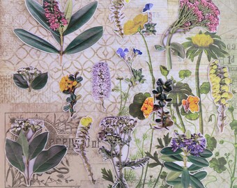 15 Real Flower Stickers (Spring Mix Set 2)