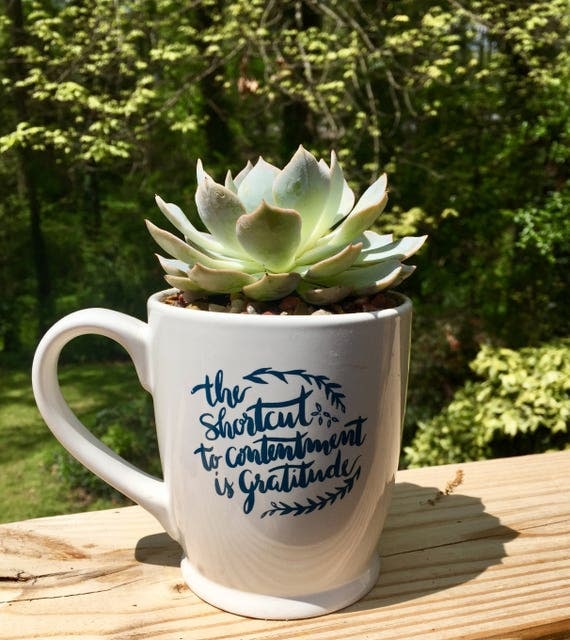 Items similar to Succulent in a Floral Mug on Etsy