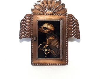 real mummified fetal pig taxidermy specimen shadowbox
