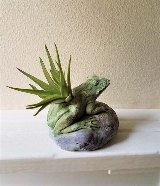 Frog planter frog air plant holder frog gift toad
