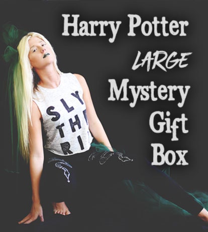 harry potter mystery box