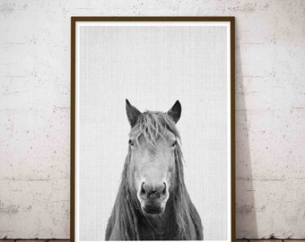 Horse Print, Minimalist Horse, Black and White Photo, Wall Art Photography, Icelandic Horse, Black And White Prints, Printable Large Poster