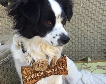 Wedding Dog Collar- Wooden Dog Bow Ties- Dog Collars will you marry me- Marriage dog bow wooded tie with burlap flowers- Will you marry me?