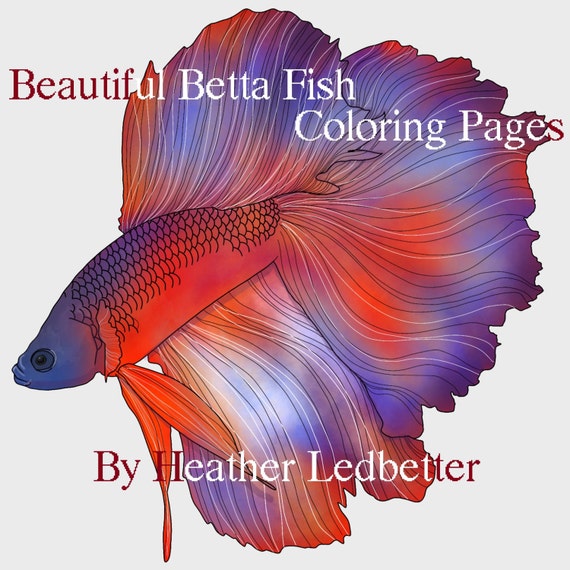 Beautiful Betta Fish Coloring Pages 6 images