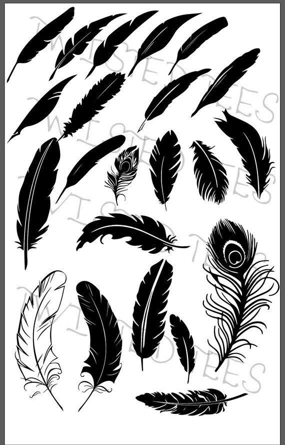 Download Feather SVG AI & DXF Vector Graphics