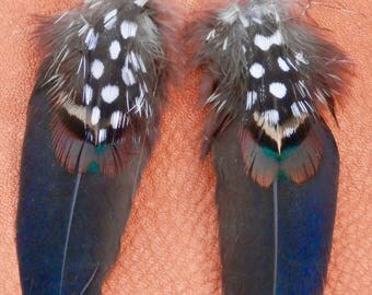 Feather Dangle Earring