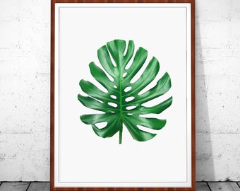 Monstera | Etsy