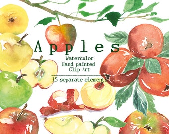 Apple clip art, Apple tree branch, Printable apples, Watercolor botanical clipart, Apple pieces illustration, Green apple, Fruit clip art