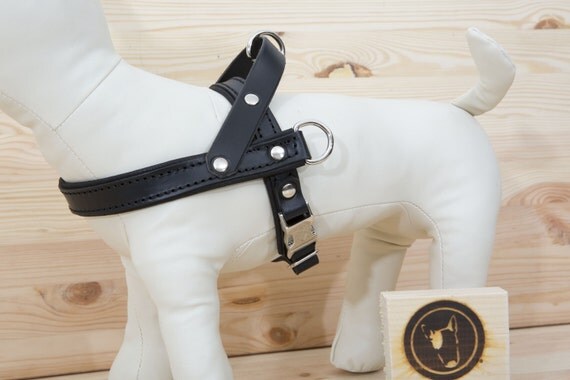 Dog Harness in Black Leather - Handmade Adjustable and Comfort Dog Harness for Training or Walk - Italian Dog Accessories - YupCollars