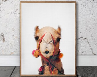 Camel Print - Desert Animal Wall Art, Digital Print, Peekaboo Print, Arabic Poster, Bohemian Prints , Dubai Photo, Moroccan Decor, African