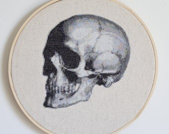 Anatomical Skull Cross Stitch Pattern
