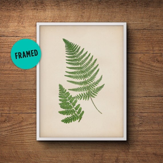 Framed Botanical Print Fern Leaf Print Fern Wall Print   Il 570xN.1181141808 I84w 