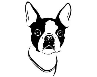 Boston Terrier Dog Graphics SVG Dxf EPS Png Cdr Ai Pdf Vector Art Clipart instant download Digital Cut Print File Cricut Silhouette Decal