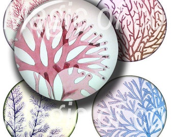Marine Algae - 63 1 Inch Circle JPG images - Digital Collage Sheet