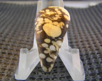 Peanut Wood Freeform Designer Cabochon