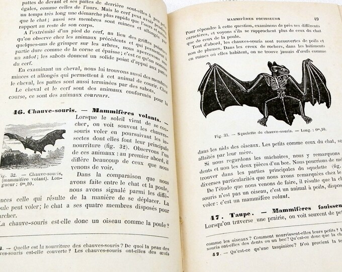 Antique French Natural Science Illustrated School Book 252 pages, French Decor, Vintage Decor, Shabby, Chic, Illustrations, Retro, Home