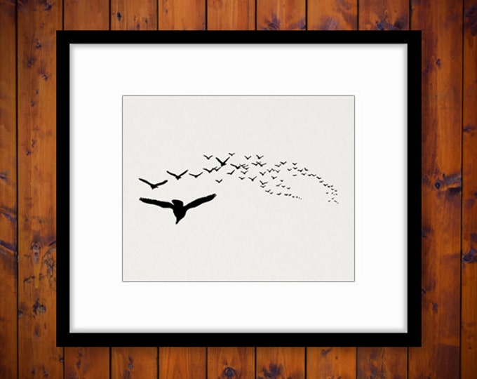 Birds in Flight Image Graphic Digital Flying Bird Printable Antique Download Vintage Clip Art Jpg Png Eps HQ 300dpi No.141