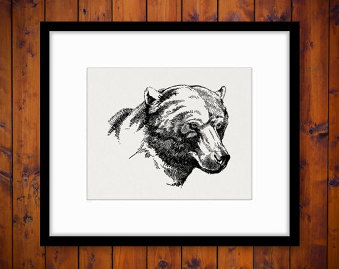 Digital Image Brown Bear Graphic Bear Printable Download Illustration Vintage Clip Art Jpg Png Eps HQ 300dpi No.4136