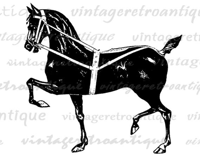 Prancing Horse Digital Image Printable Antique Animal Illustration Graphic Download Artwork Vintage Clip Art Jpg Png HQ 300dpi No.1728