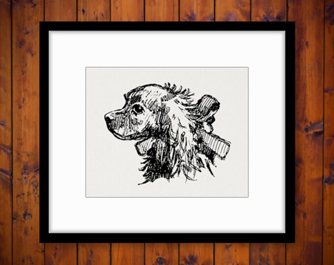 Cocker Spaniel Dog Printable Digital Image Illustration Download Graphic Vintage Clip Art Jpg Png Eps HQ 300dpi No.3118