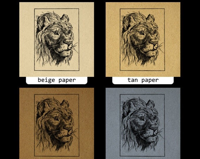 Digital Graphic Antique Lion Printable Cat Image Download Jpg Png Eps HQ 300dpi No.445