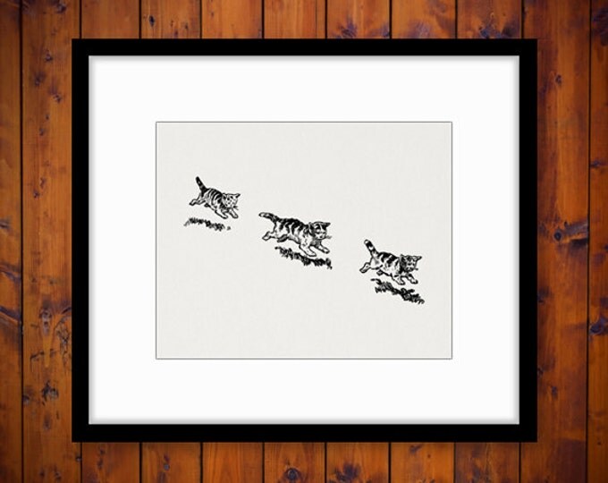 Printable Digital Three Kittens Image Cute Cat Download Illustration Graphic Vintage Clip Art Jpg Png Eps HQ 300dpi No.3579