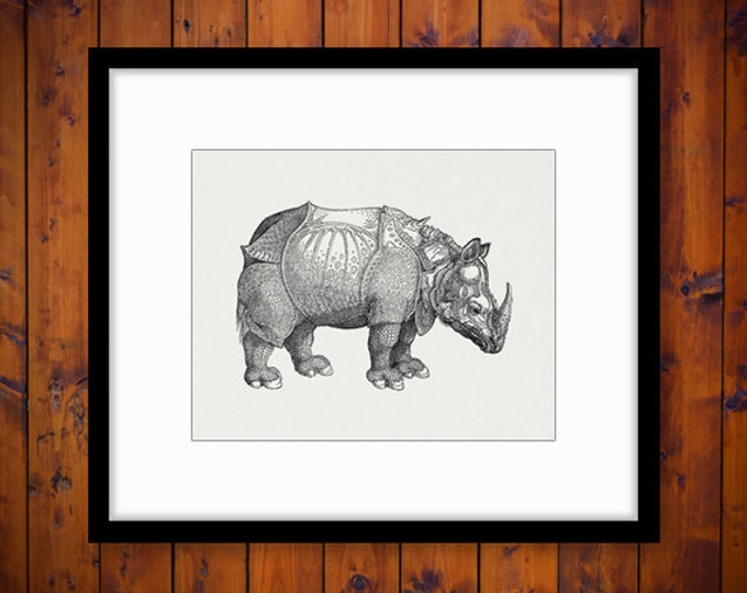 Rhinoceros Printable Graphic Digital Rhino Image Download Artwork Antique Clip Art Jpg Png Eps HQ 300dpi No.2118