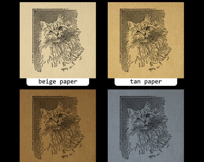 Digital Printable Tabby Cat Download Illustration Graphic Image Vintage Clip Art Jpg Png Eps HQ 300dpi No.3056