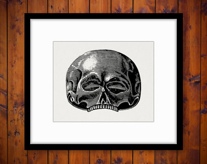 Skull Graphic Image Digital Illustrated Download Printable Vintage Clip Art Jpg Png Eps HQ 300dpi No.1453