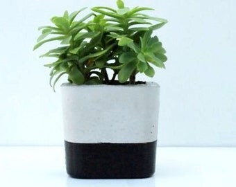Large Concrete planter/Black/Concrete Planter/Suculente Planter/Gray Concrete Planters /Modern Planter/ Outdoor Planter/ Beton Planter/
