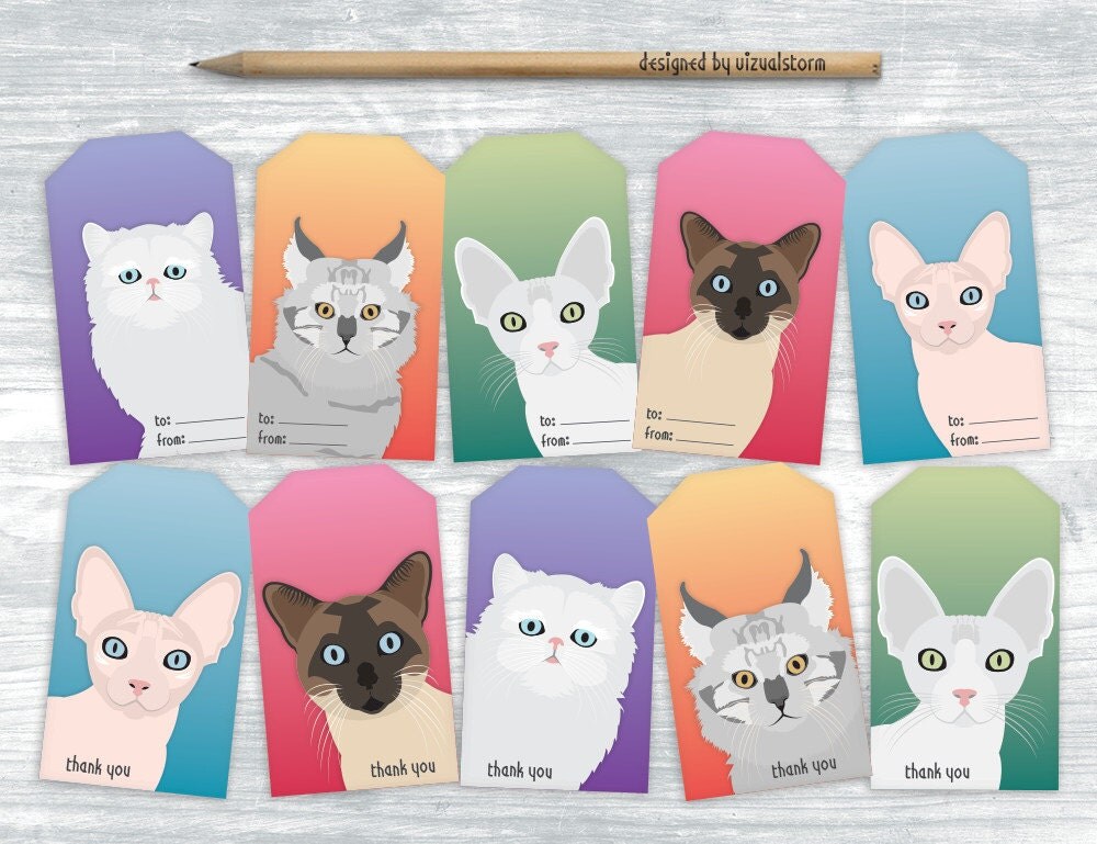 Cat Party Favor Tags Printable Kitty Gift Tags Illustrated
