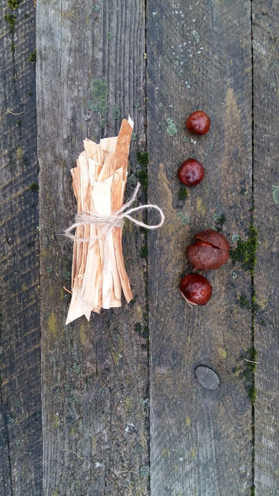 bark for crafts or decor natural chestnut tree wooden bark