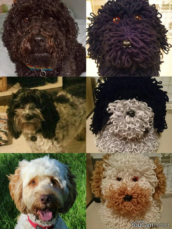 Commissioned Groodle/Labradoodle/Cockapoo/Portuguese Water Dog