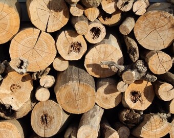 Wood pile - digital download, background picture