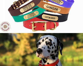 Dog Collar Leather Personalized Dog Collar with Name Plate Brass Buckle Red Brown Black Green